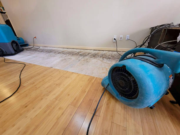 Professional Structural Drying technician working in Plympton, MA